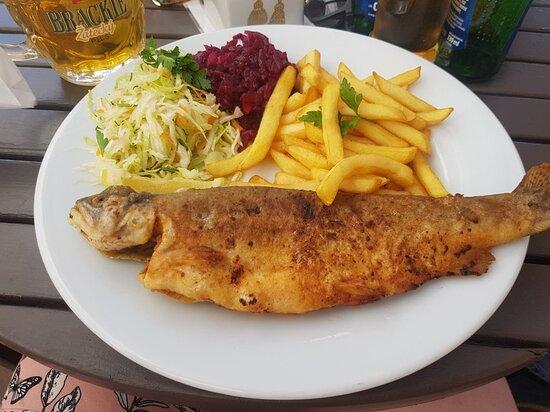 Cztery Światy